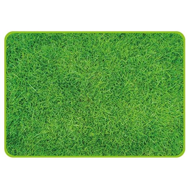 W[V[g 70×100  Ő sN`[ D-2337 sNjbNV[g q lC sNjbN p[ H