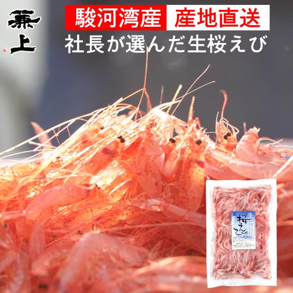 兼上 生桜えび 駿河湾産 100g×1袋 由比港水揚げ お刺身