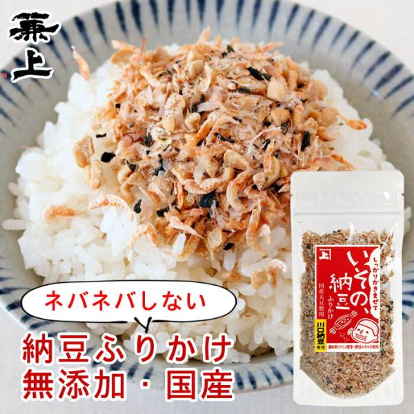 兼上 いその 納豆 ふりかけ 33g×1個 無添加 国産