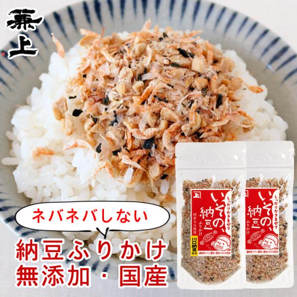 兼上 いその 納豆 ふりかけ 33g×2個 無添加 国産