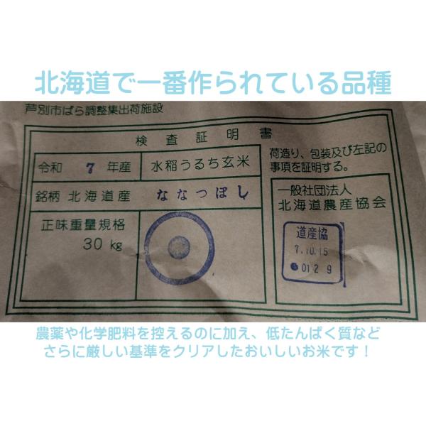 令和7年”北海道産高度クリーンななつぼし” 玄米 5kg : かねき米の郷