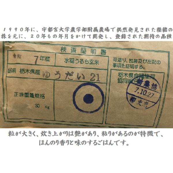 令和7年 栃木県産 ゆうだい21 玄米30kg 塩谷産米『ゆうだい21』 玄米30kg | 栃木県塩谷町 | ふるさと納税