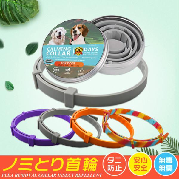 ノミ取り首輪 みんな探してる人気モノ ノミ取り首輪