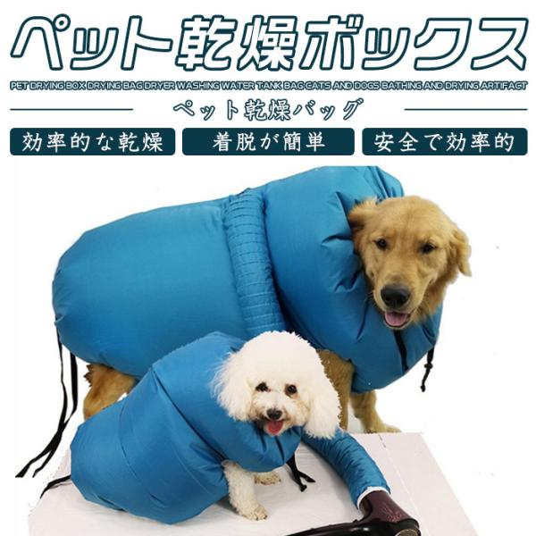 ペット お風呂グッズ みんな探してる人気モノ ペット お風呂グッズ ペット ペットグッズ