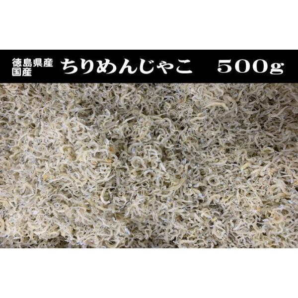 ちりめんじゃこ 500g 徳島県産 鹿児島県産 中サイズ ちりめん山椒 訳あり メガ盛り 送料無料