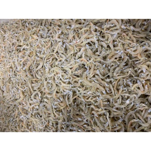 ߂񂶂Ⴑ@1kg@߂R@ɌWHY@Ȃǁ@傫 \tg@Mtg@