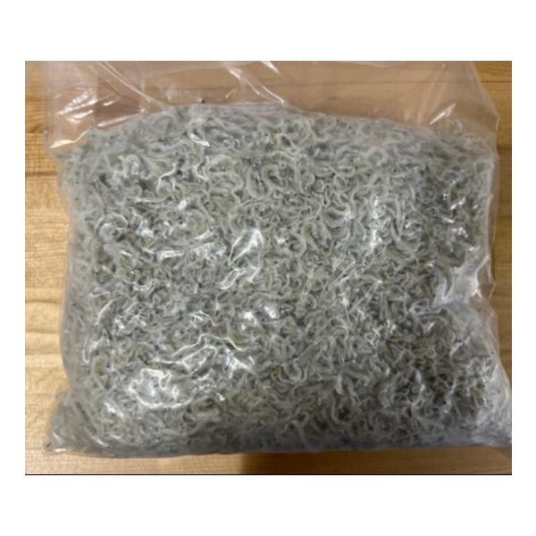 兵庫県淡路産 ちりめんじゃこ５００ｇ　訳あり　メガ盛り　小サイズ　しらす干し