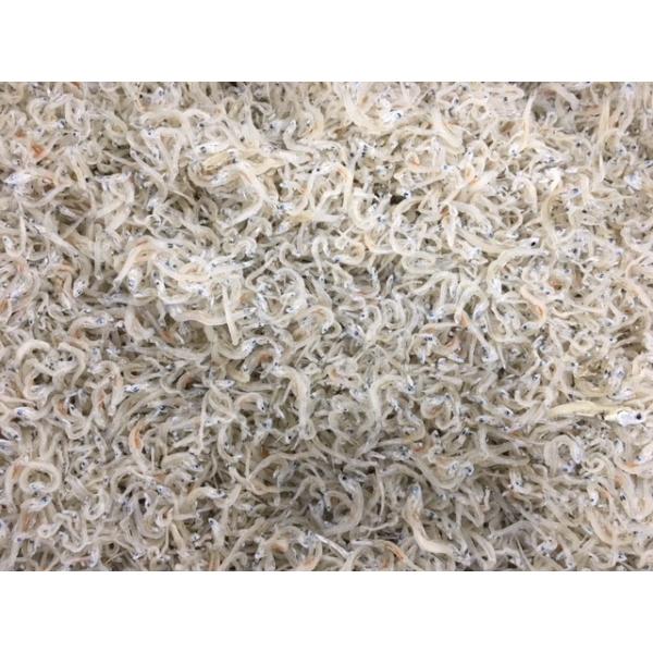 ߂񂶂Ⴑ@5kg@߂R@TCYYAɌA{茧Y 啪YAmY 󂠂 K@Mtg@