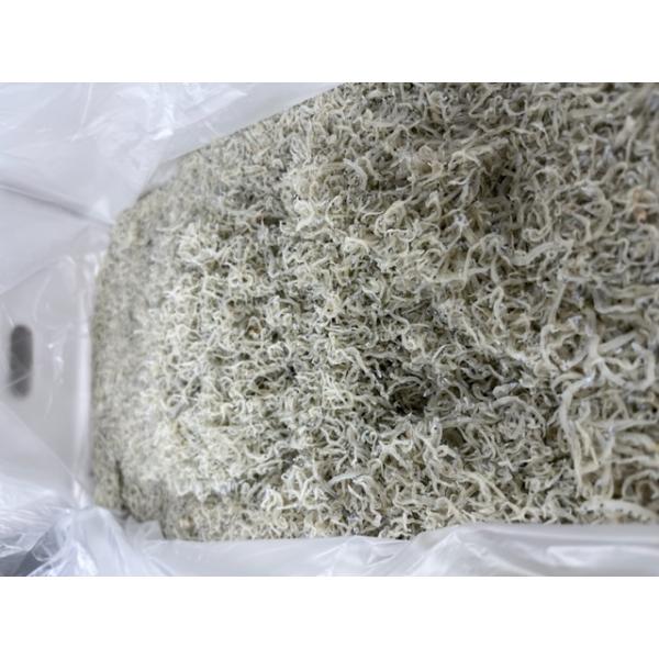 ギフト ちりめんじゃこ ５ｋg  徳島県産、兵庫県淡路島産、他 小から中サイズ  ちりめん山椒用 訳あり メガ盛り ５ｋｇをこの価格にいたします。大放出です！！！