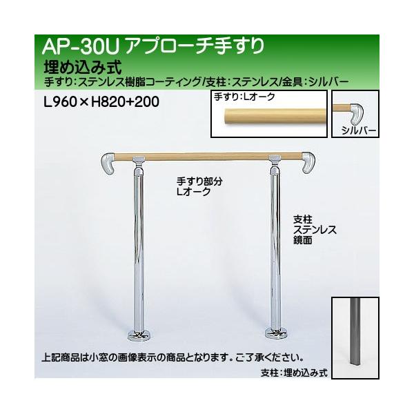 Av[`肷 F VN} AP-30 ߍݎ TCY900 px CgI[N