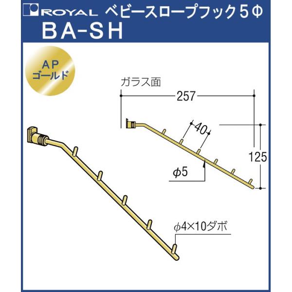 xr[ X[vtbN5 C BA-SH APS[h TCYFD257×H125 (_{6) mm|CgVXe (yʗp)