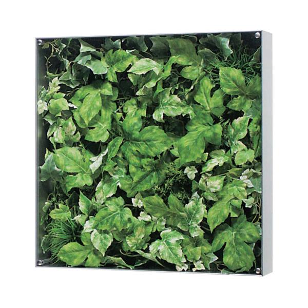 EH[O[ xN BELK GR3110 A~oރVo[A}Cgd 3mmANE4mmxj\E3mmv_  1 [J[i