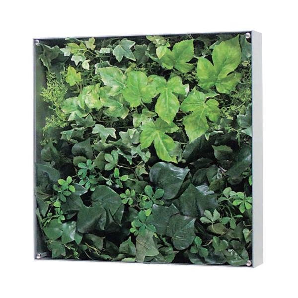 EH[O[ xN BELK GR3111 A~oރVo[A}Cgd 3mmANE4mmxj\E3mmv_  1 [J[i