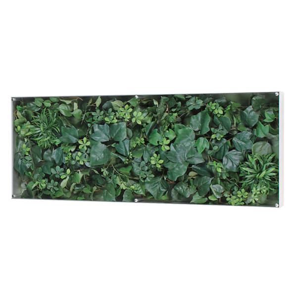 EH[O[ xN BELK GR3117 A~oރVo[A}Cgd 3mmANE4mmxj\E3mmv_  1 [J[i