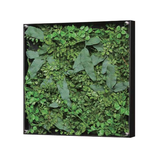 EH[O[ xN BELK GR3305 A~oރubNA}Cgd 2mmANE2mm}bgE0.8mm{[  1 [J[i