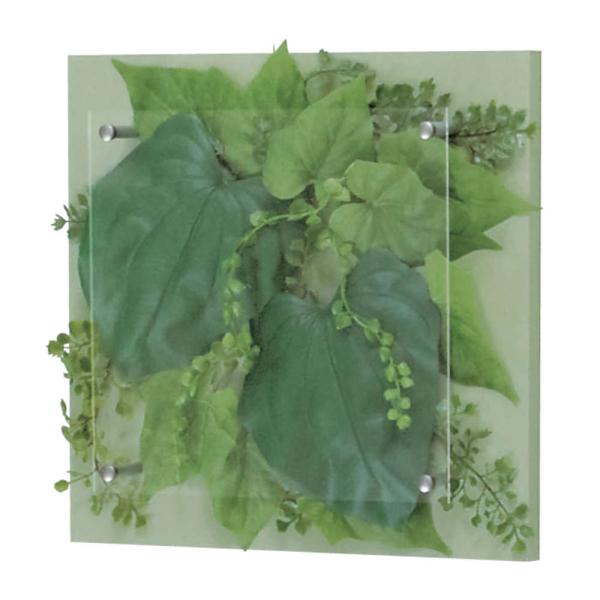 O[ xN BELK GR3413 ؃plV[g\ 2mmAN  1 [J[i