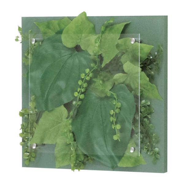 O[ xN BELK GR3414 ؃plV[g\ 2mmAN  1 [J[i