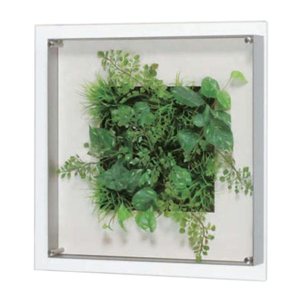 O[ xN BELK GR3436 A~oރVo[A}Cgd 3mmANE3mmMDFV[g\  1 [J[i