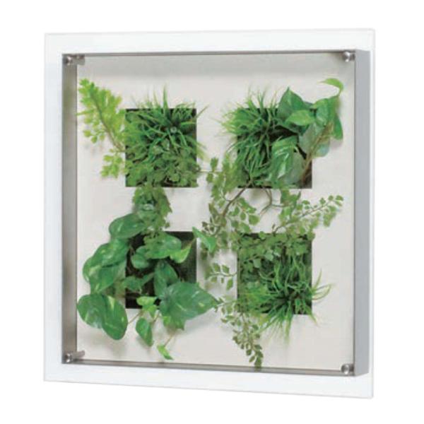 O[ xN BELK GR3439 A~oރVo[A}Cgd 3mmANE3mmMDFV[g\  1 [J[i