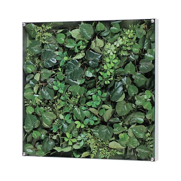 EH[O[ xN BELK GR3561 A~oރVo[A}Cgd 3mmANE3mmMDF\E5mmv_  1 [J[i