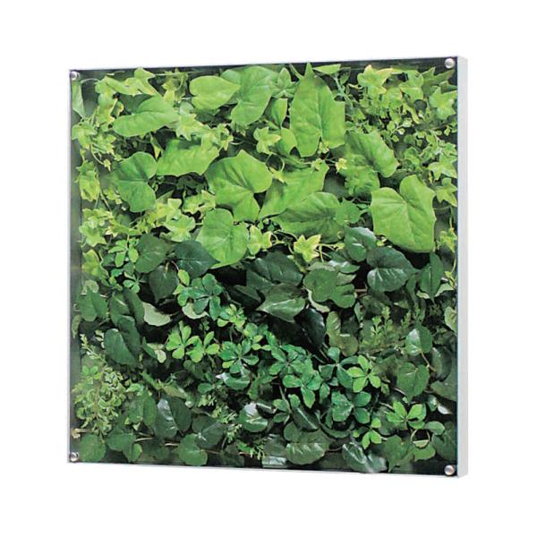 EH[O[ xN BELK GR3563 A~oރVo[A}Cgd 3mmANE3mmMDF\E5mmv_  1 [J[i