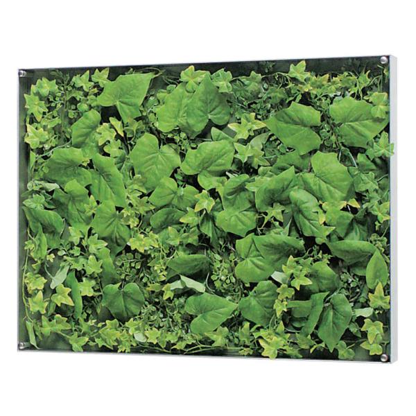 EH[O[ xN BELK GR3565 A~oރVo[A}Cgd 3mmANE3mmMDF\E5mmv_  1 [J[i