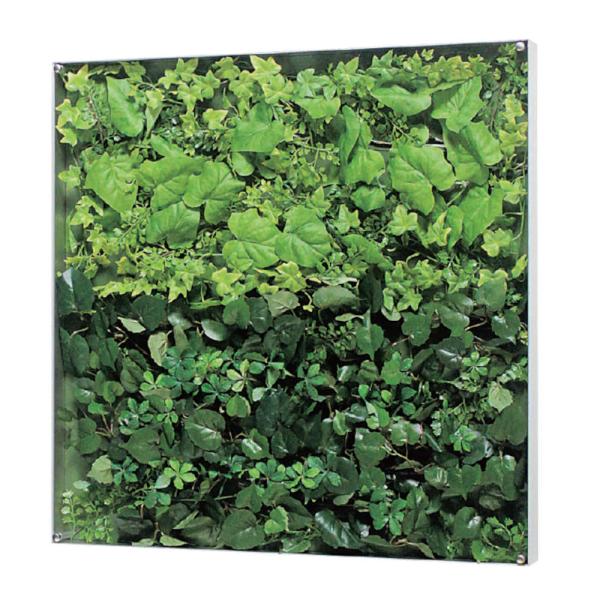 EH[O[ xN BELK GR3569 A~oރVo[A}Cgd 3mmANE3mmMDF\E5mmv_  1 [J[i