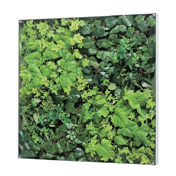 EH[O[ xN BELK GR3570 A~oރVo[A}Cgd 3mmANE3mmMDF\E5mmv_  1 [J[i