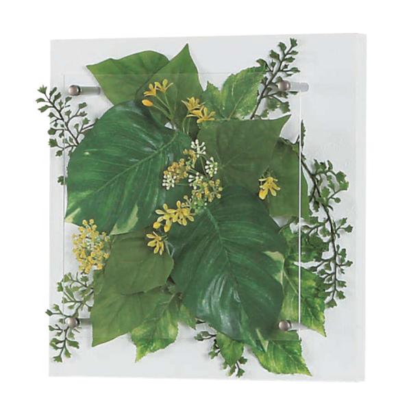 O[ xN BELK GR3707 ؃plV[g\ 2mmAN  1 [J[i