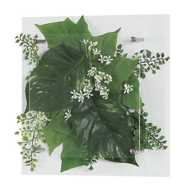 O[ xN BELK GR3708 ؃plV[g\ 2mmAN  1 [J[i