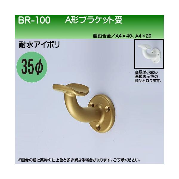 A�`�u���P�b�gL�� ���F �V���N�} BR-100 35�ӗp �ϐ��A�C�{��
