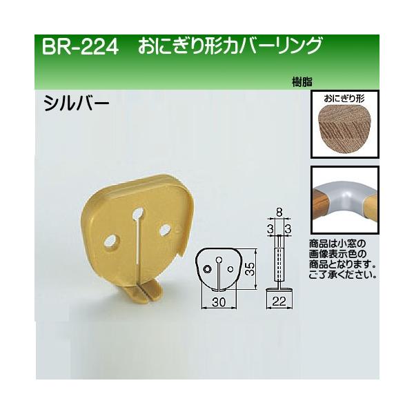 ɂ`Jo[O F VN} BR-224 Vo[