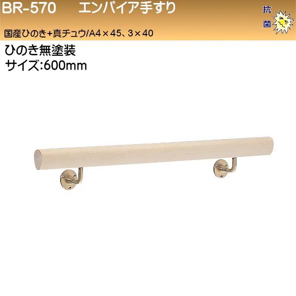 GpCA肷 F VN} BR-570 40×60` 600 YЂ̂+^J