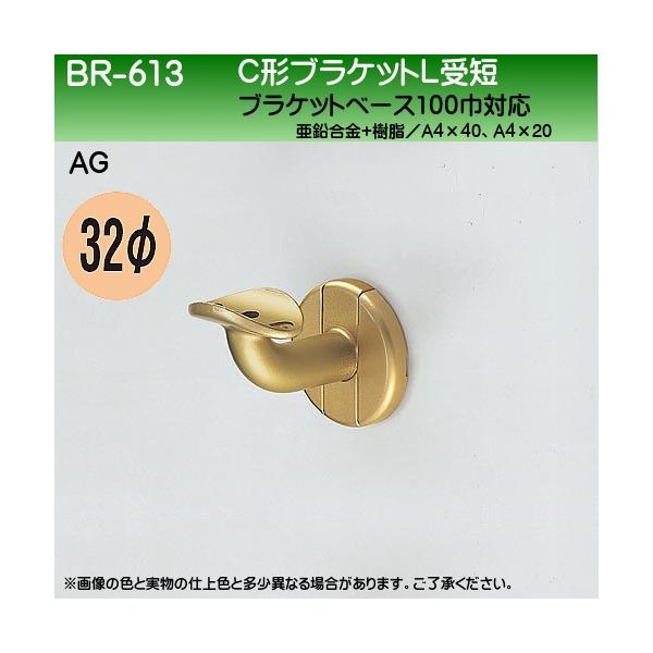 C`uPbgLZ F VN} BR-613 32ӗp AGF