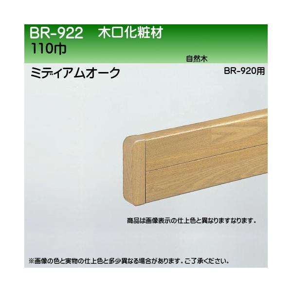 ،ϔ (R) F VN} BR-922 110 (BR-920p) ~fBAI[N