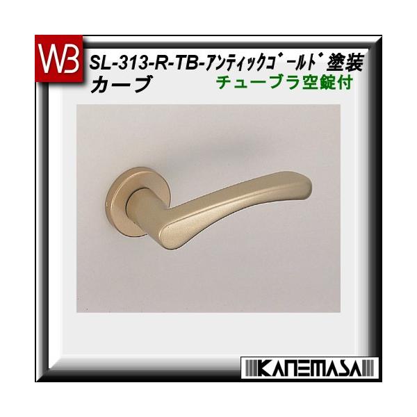 o[nh `[u F VN} J[uSL-313 AeBbNS[hhFۍ (A~)