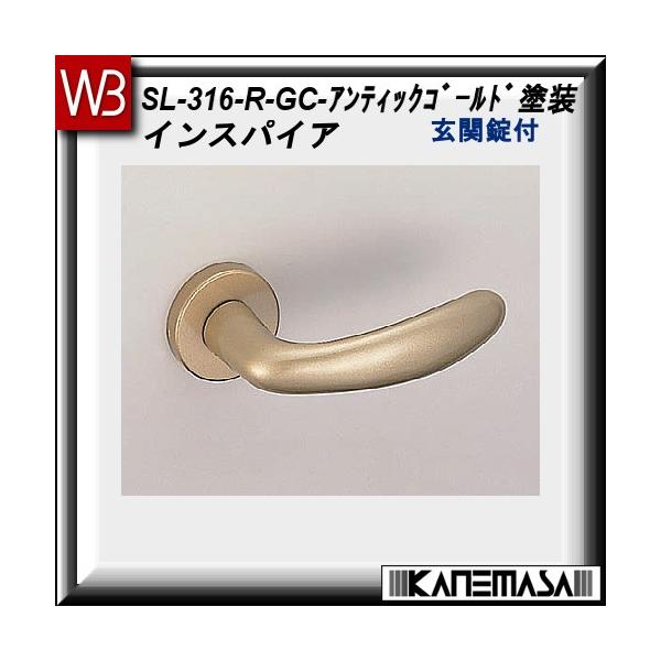 o[nh ֏ F VN} CXpCASL-316 AeBbNS[hhFۍ (A~)