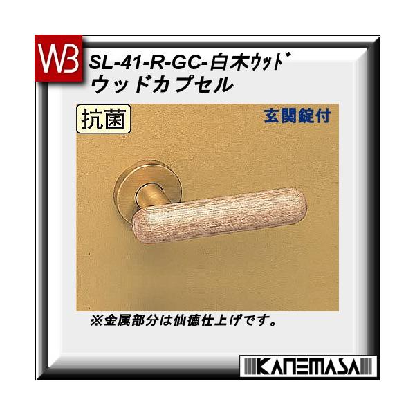 o[nh ֏ F VN} EbhJvZ SL-41 ؃Ebh ۍ