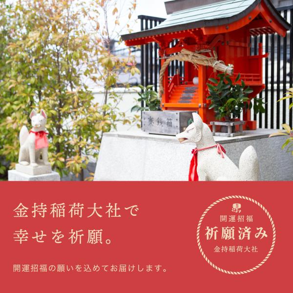 kanemochihonpo_arare_1