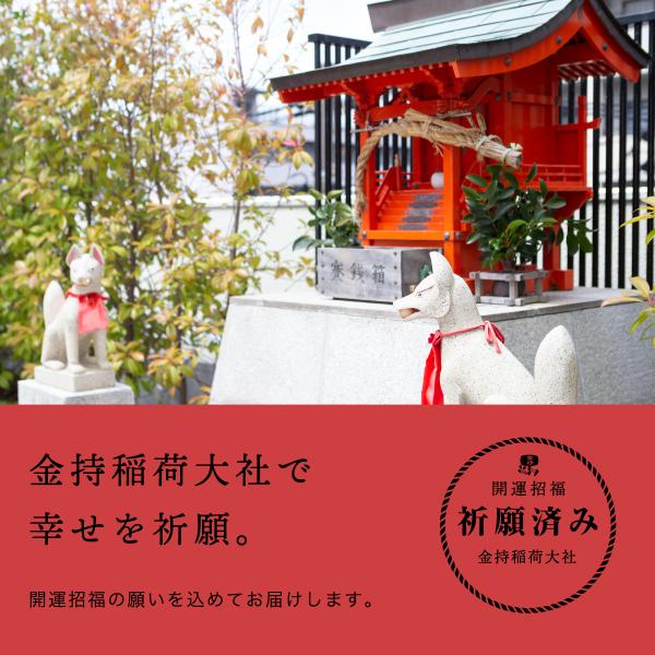 【開運・招福】 稲荷神使（いなりしんし） ご神像 | 商売繁盛・金運上昇の守護 金持稲荷大社 開運しゃもじ 幸せを招く縁起物 : 創業明治44年 金持本舗