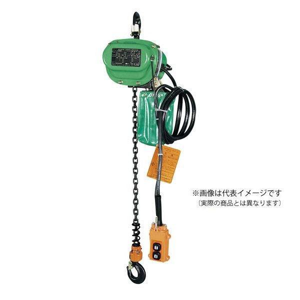 日立 50000-545 電動チェーンブロック 軽作業用 1/2E1 450kg