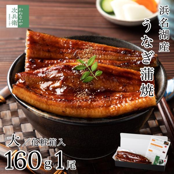 ギフト 浜名湖 国産 うなぎ 蒲焼 無頭 大サイズ 約160g×1尾【ギフト対応可】冷凍 鰻うなぎ蒲焼  プレゼント お歳暮 お中元 ギフト【C配送：冷凍】