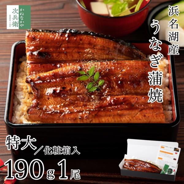 ギフト 浜名湖 国産 うなぎ 蒲焼 無頭 特大サイズ 約190g×1尾【ギフト対応可】冷凍 鰻うなぎ蒲焼  プレゼント お歳暮 お中元 ギフト【C配送：冷凍】