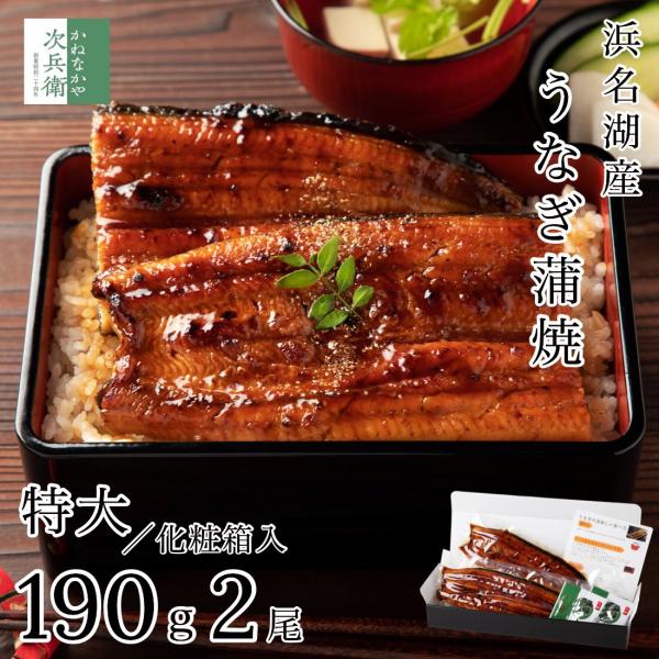 ギフト 浜名湖 国産 うなぎ 蒲焼 無頭 特大サイズ 約190g×2尾【ギフト対応可】冷凍 鰻うなぎ蒲焼  プレゼント お歳暮 お中元 ギフト 【C配送：冷凍】