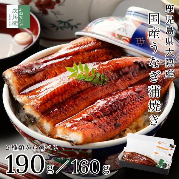 ＜商品内容＞鹿児島県大隅産うなぎの蒲焼【特大サイズ：約190g】【大サイズ：約160g】■内容：うなぎ蒲焼き：190g or 160g■原材料名：うなぎ（鹿児島県大隅産）、タレ（しょうゆ（小麦・大豆を含む）、砂糖混合異性化液糖、発酵調味料、...