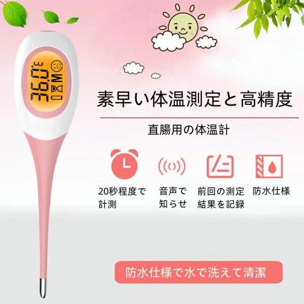 kaneshiroshop_pet-dac09_1_d_20260304151755