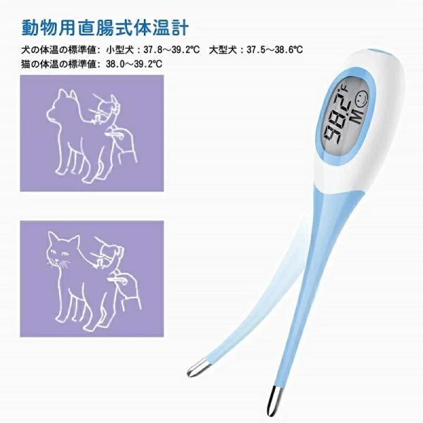 kaneshiroshop_pet-dac09_5_d_20260304151813