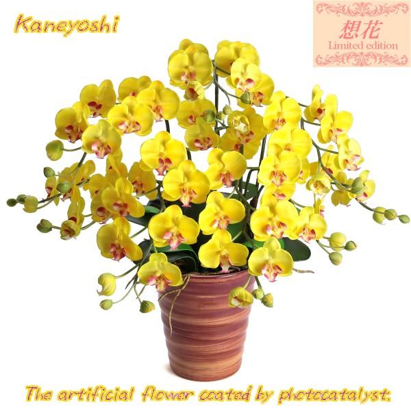 送料無料 お祝い 花 造花 光触媒 胡蝶蘭 小輪 ５本立 イエロー
