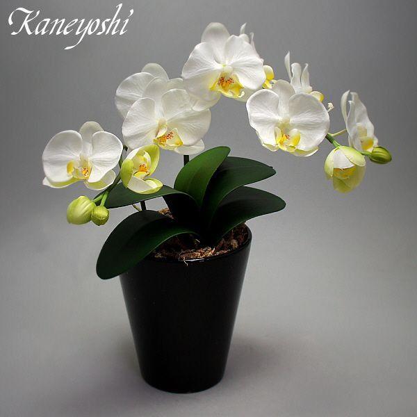 お祝い花造花ギフト記念品出産誕生日結婚式発表会新築開店祝光触媒胡蝶蘭大輪 １本立ショート ホワイトｂ Buyee Buyee 提供一站式最全面最專業現地yahoo Japan拍賣代bid代拍代購服務