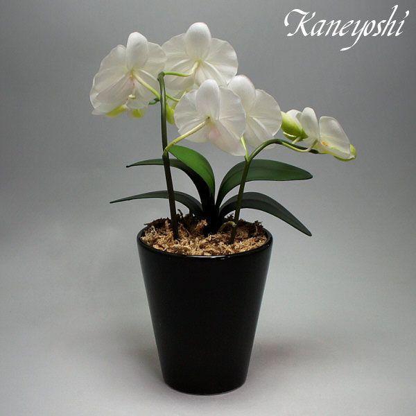 お祝い花造花ギフト記念品出産誕生日結婚式発表会新築開店祝光触媒胡蝶蘭大輪 １本立ショート ホワイトｂ Buyee Buyee 提供一站式最全面最專業現地yahoo Japan拍賣代bid代拍代購服務